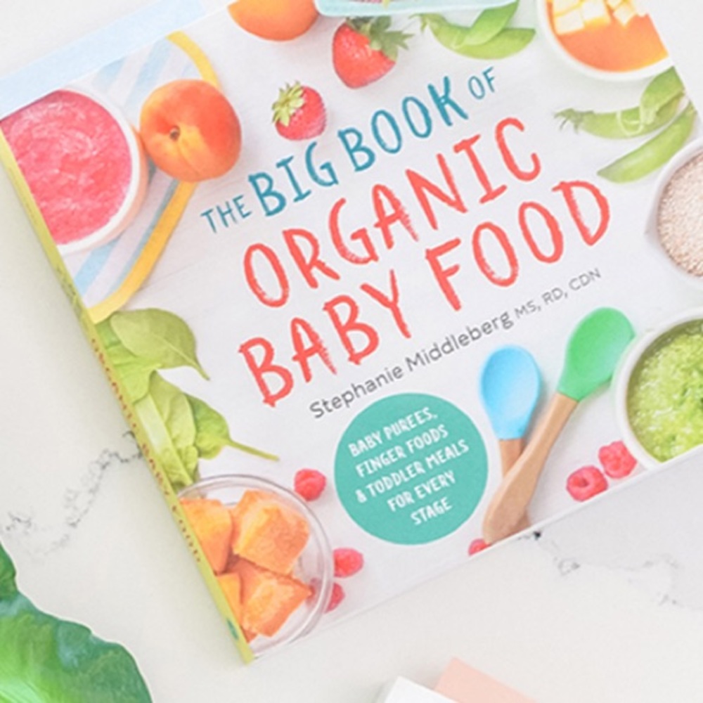 NEW The Big Book of Organic Baby Food Paperback Healthy Baby Cookbook
